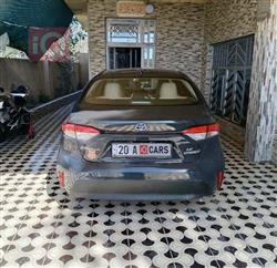 تويوتا كورولا